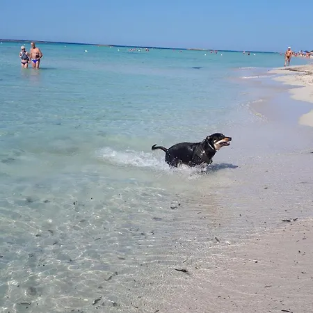 059 E 060 Di Salentoinvacanza.com *